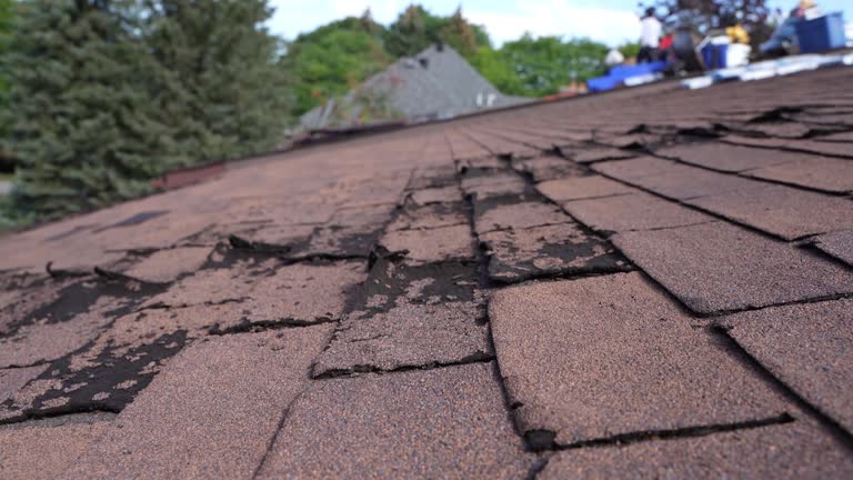 Best Sheet Metal Roofing  in West Liberty, WV