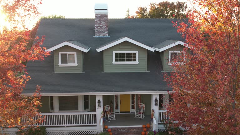 Best Roof Moss and Algae Removal  in West Liberty, WV